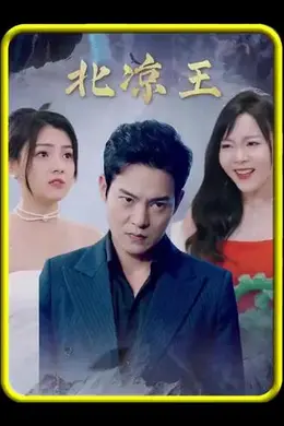北凉王海报图片
