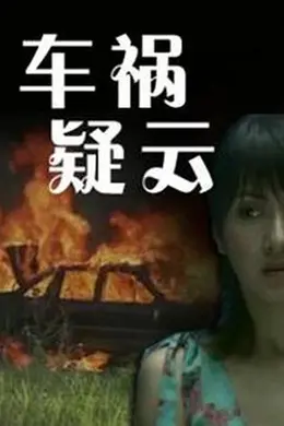 车祸疑云封面图