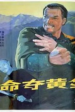 命夺黄金图封面图