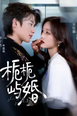 栀栀屿婚海报图片