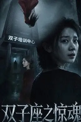 双子座之惊魂海报图片