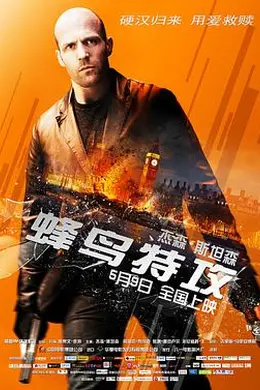 蜂鸟特攻国语封面图