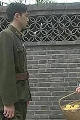 侬本痴情封面图