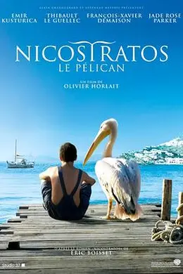 男孩与鹈鹕封面图