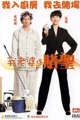 我的老婆是赌圣封面图