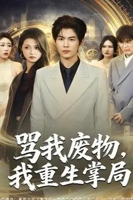 骂我废物，我重生掌局海报图片