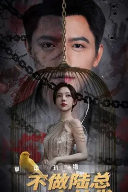 掌中玩物不做陆总金丝雀海报图片