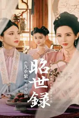 昭世录海报图片