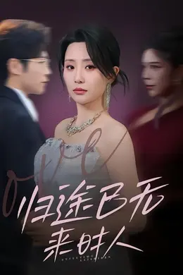 归途已无来时人封面图