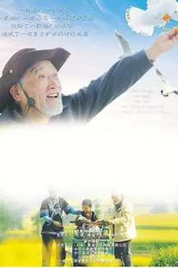 海鸥老人封面图