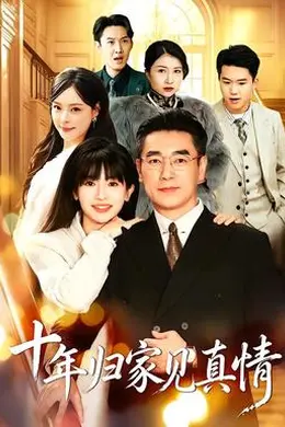 十年归家见真情封面图