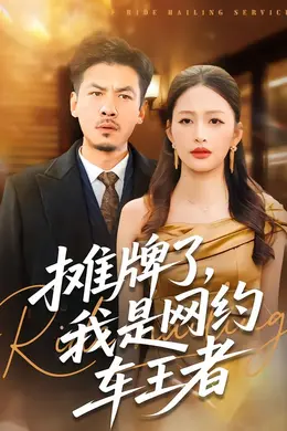 摊牌了，我是网约车王者封面图