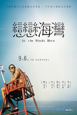 恋恋海湾封面图