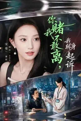 你赌我不敢离，我转身起诉封面图