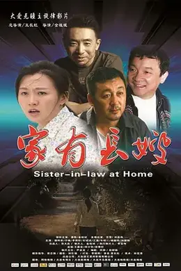 家有长嫂海报图片