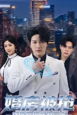 婚房被抢我选系统成为赢家封面图