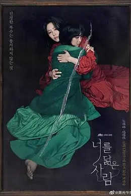 你的倒影封面图