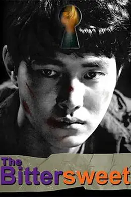 苦乐参半封面图