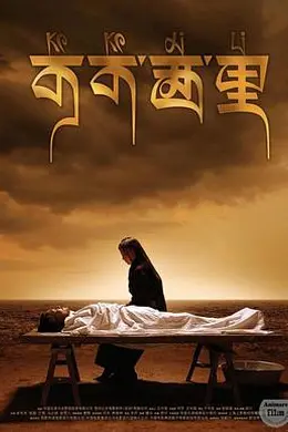 可可西里封面图