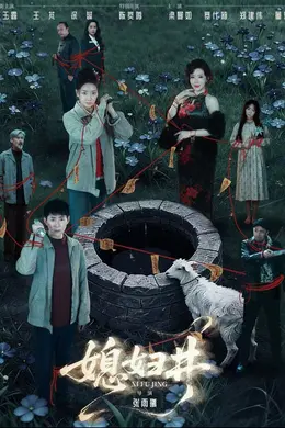 媳妇井海报图片