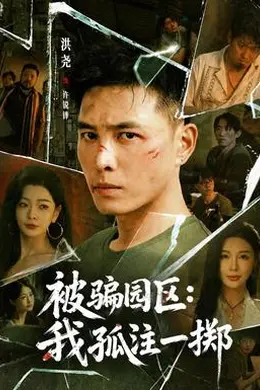 被骗园区：我孤注一掷海报图片