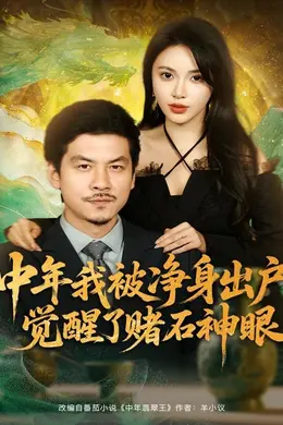 中年我被净身出户，觉醒了赌石神眼海报图片