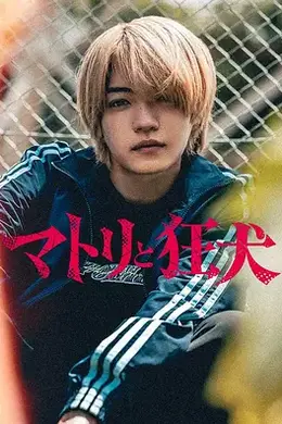 缉毒警与疯犬封面图