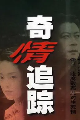 奇情追踪封面图