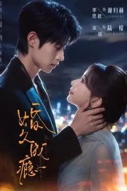 婚久成瘾封面图