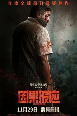 因果报应（2024）封面图
