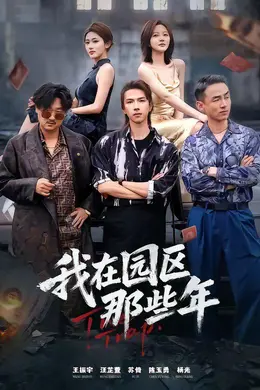 我在园区那些年封面图