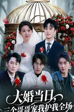 大婚当日，三个哥哥宠我护我全场海报图片