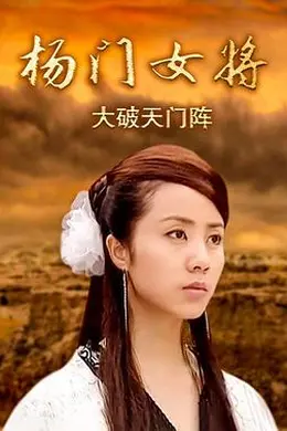 杨门女将之大破天门阵封面图