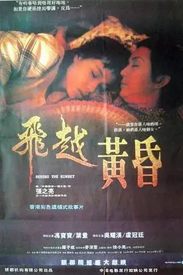 飞越黄昏封面图