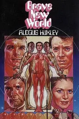 美丽新世界封面图