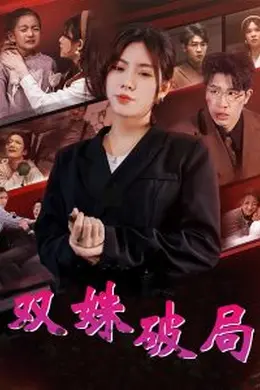 双姝破局海报图片