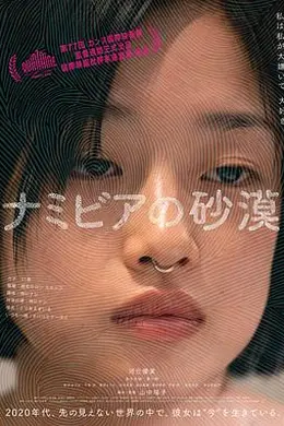 纳米比亚的沙漠封面图