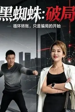 黑蜘蛛：破局封面图