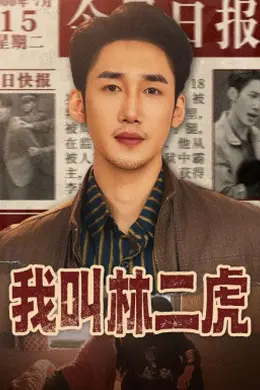 我叫林二虎封面图