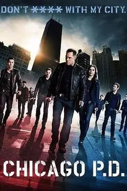 芝加哥警署第一季封面图