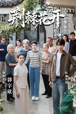 荆棘花开海报图片