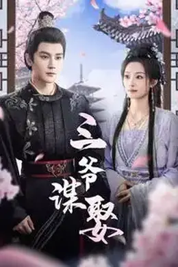 三爷谋娶海报图片