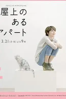 屋顶的公寓封面图