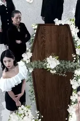 双生迷雾海报图片