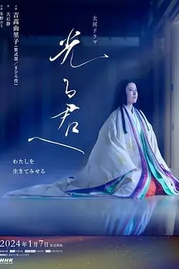 致光之君封面图