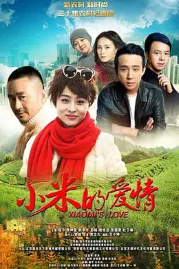 小米的爱情海报图片