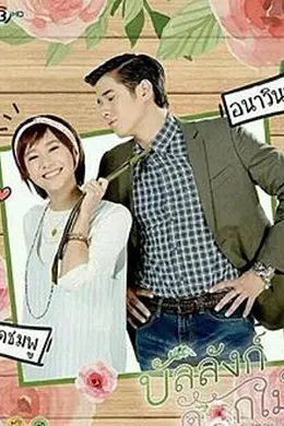 鲜花宝座封面图