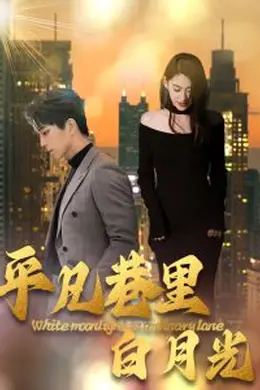 平凡巷里白月光海报图片