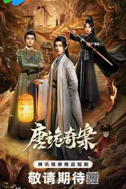 唐诡奇案封面图