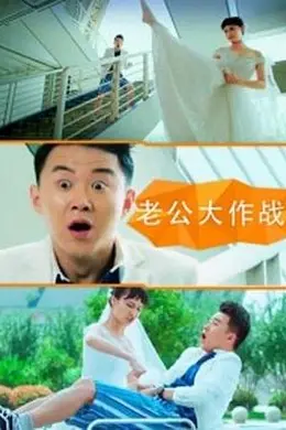 老公大作战封面图